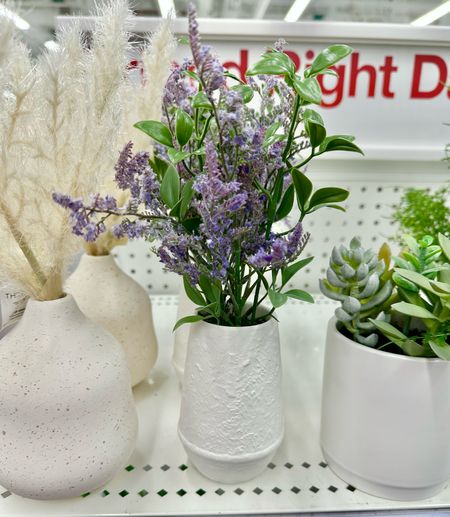 Target’s faux plants keep getter better and more lifelike! I linked some of my favorite mini plants including these to use on a table, shelves, home office, living room, kitchen etc. 

Bedroom
End table styling
Night stand styling 

#LTKfindsunder50 #LTKhome