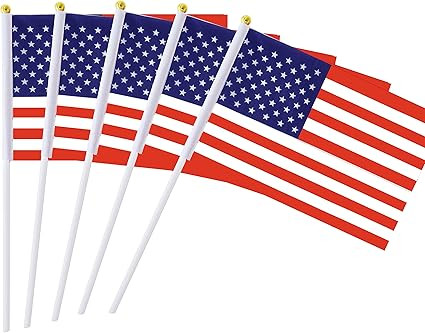 25 Pack Hand Held Small Mini Flag USA US Flag American Flag Stick Flag Round Top National Country... | Amazon (US)
