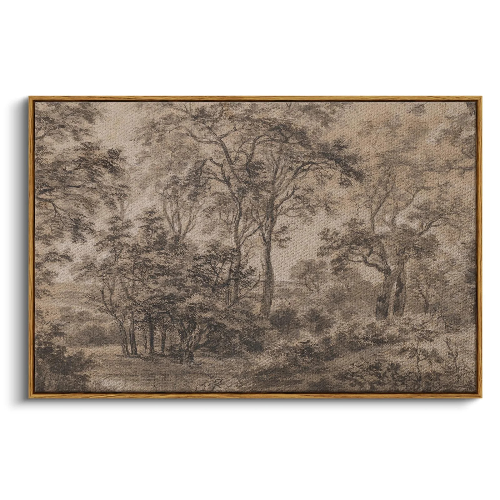 Framed Canvas Wall Art, Dark Forest Sketch Print, Farmhouse Vintage Style, 24x36in, Living Room, Bedroom | Wayfair North America