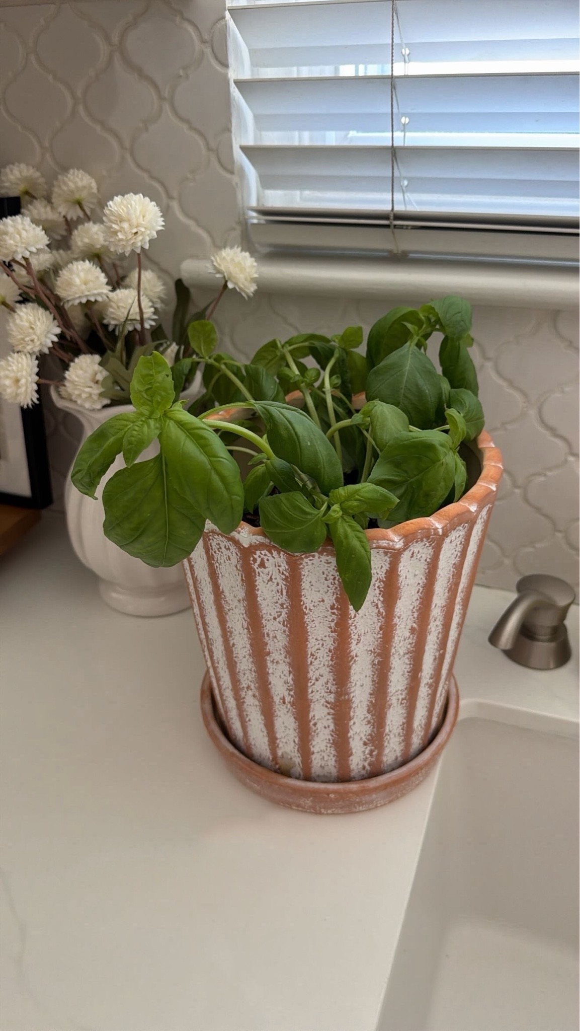 Scalloped terracotta pot on sale for $12!

#LTKSeasonal #LTKSaleAlert #LTKHome