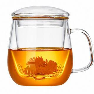 17.6 oz Clear Glass Mug Borosilicate Glass Drinkware Tea Cup with Infuser and Lid for Loose Leaf Tea, 1 Piece | The Home Depot