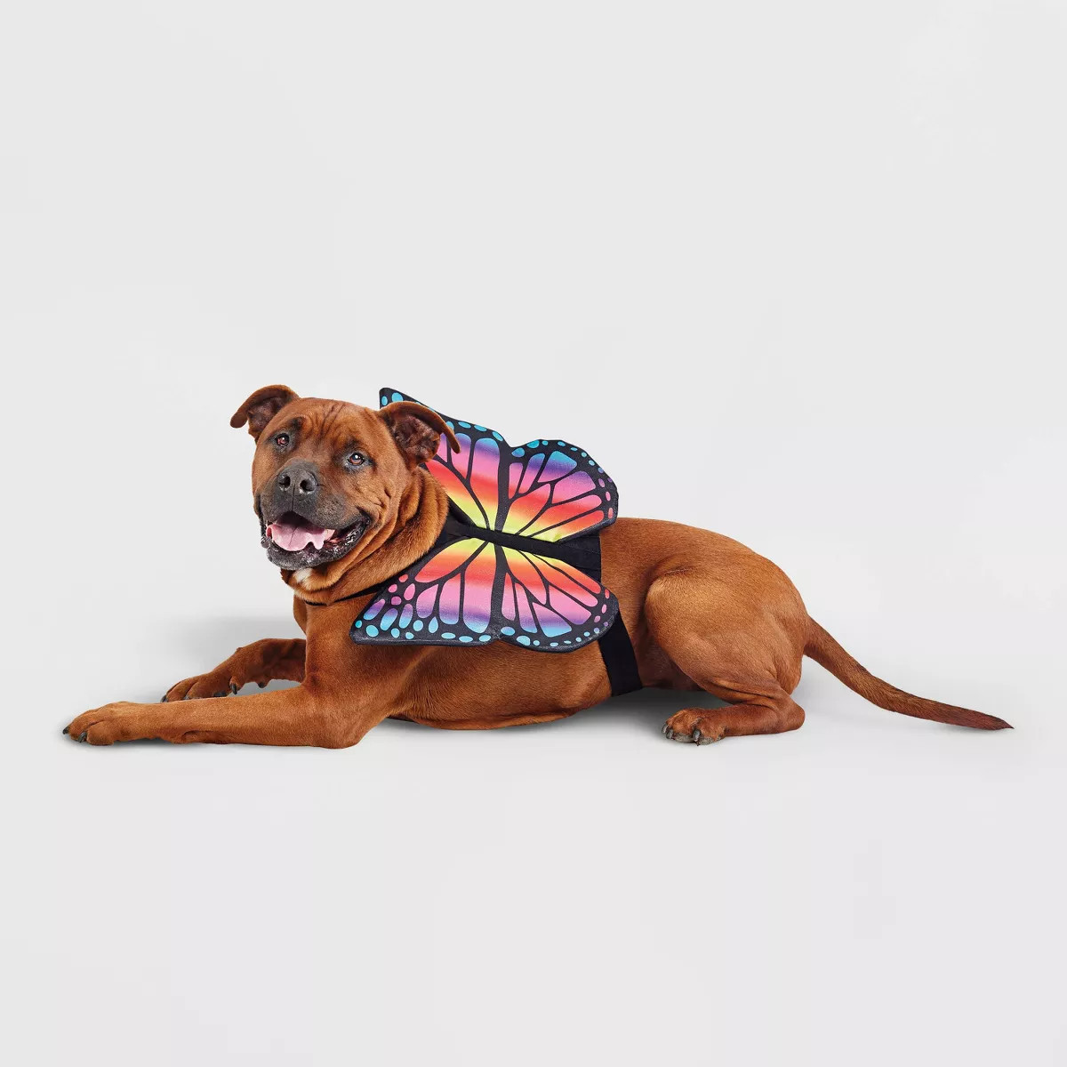 Halloween Butterfly Wings Dog and Cat Costume - Hyde and EEK! Boutique™ | Target