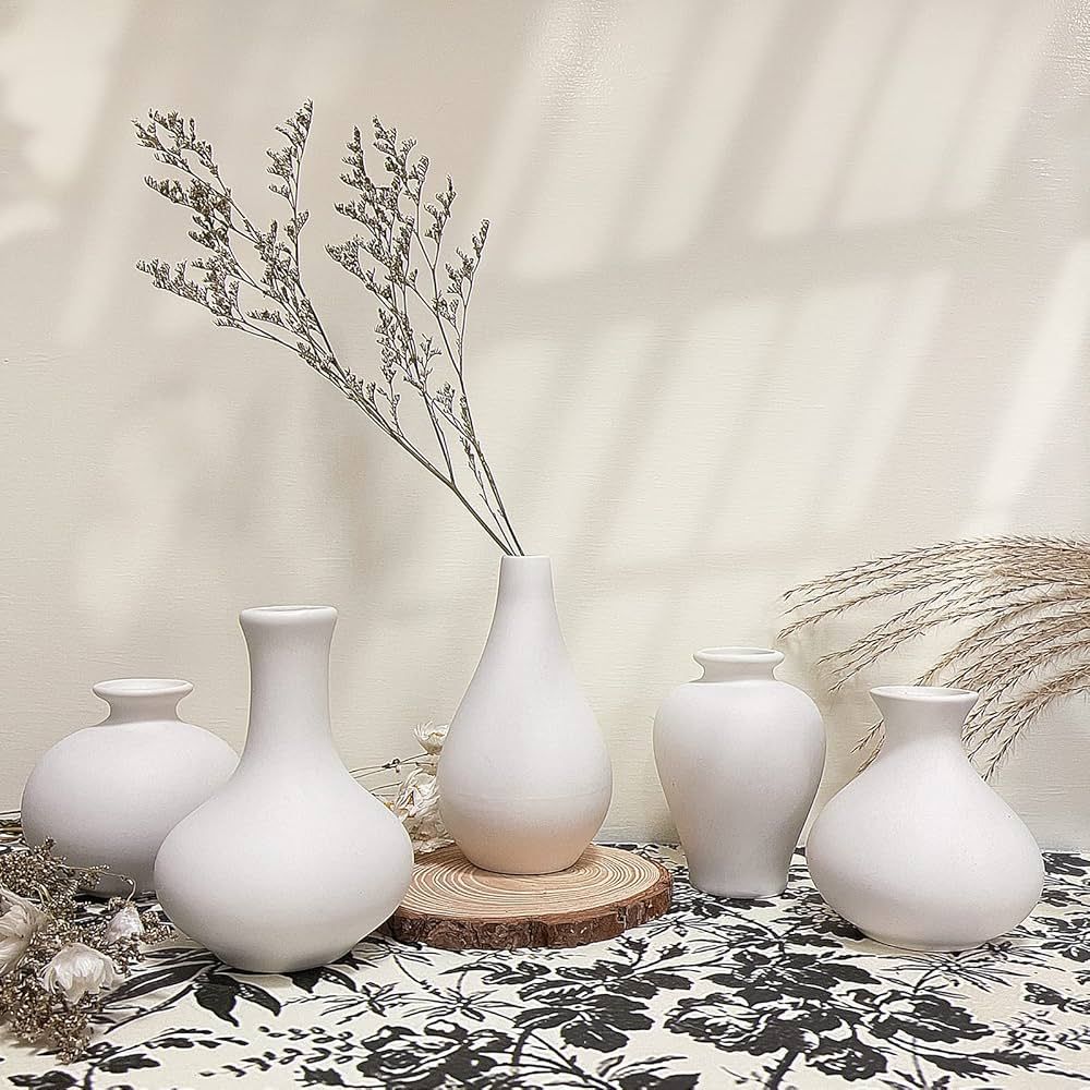 EVOLUX Small Flower Vases of 5, Living Room Decorations Bud vase, Modern Ceramic White Vase for H... | Amazon (US)