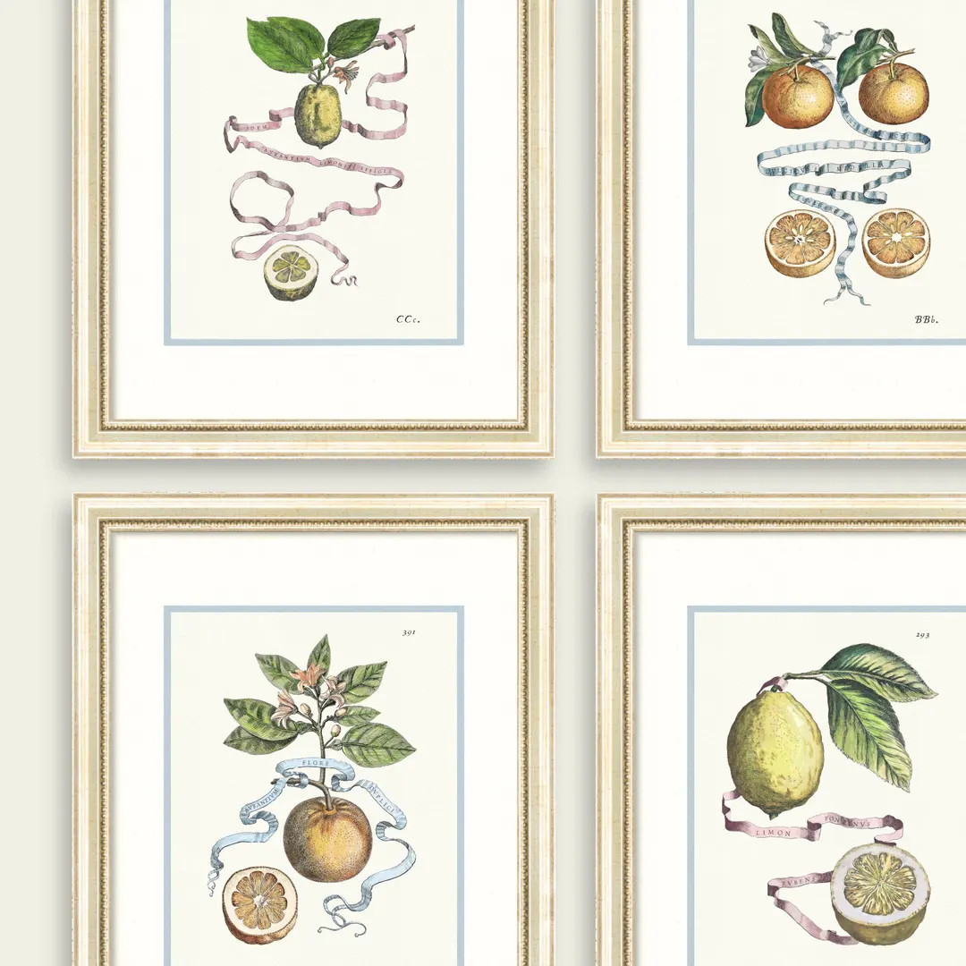 Citrus Botanicals: Set of 9 Antique Gold Gilt Framed Watercolor Citrus Botanical Art Prints, Fine... | Etsy (US)