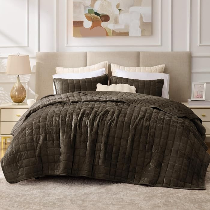 BEDELITE Velvet Quilt Set Queen Size, Luxury Velvet Comforter Bedding | Amazon (US)