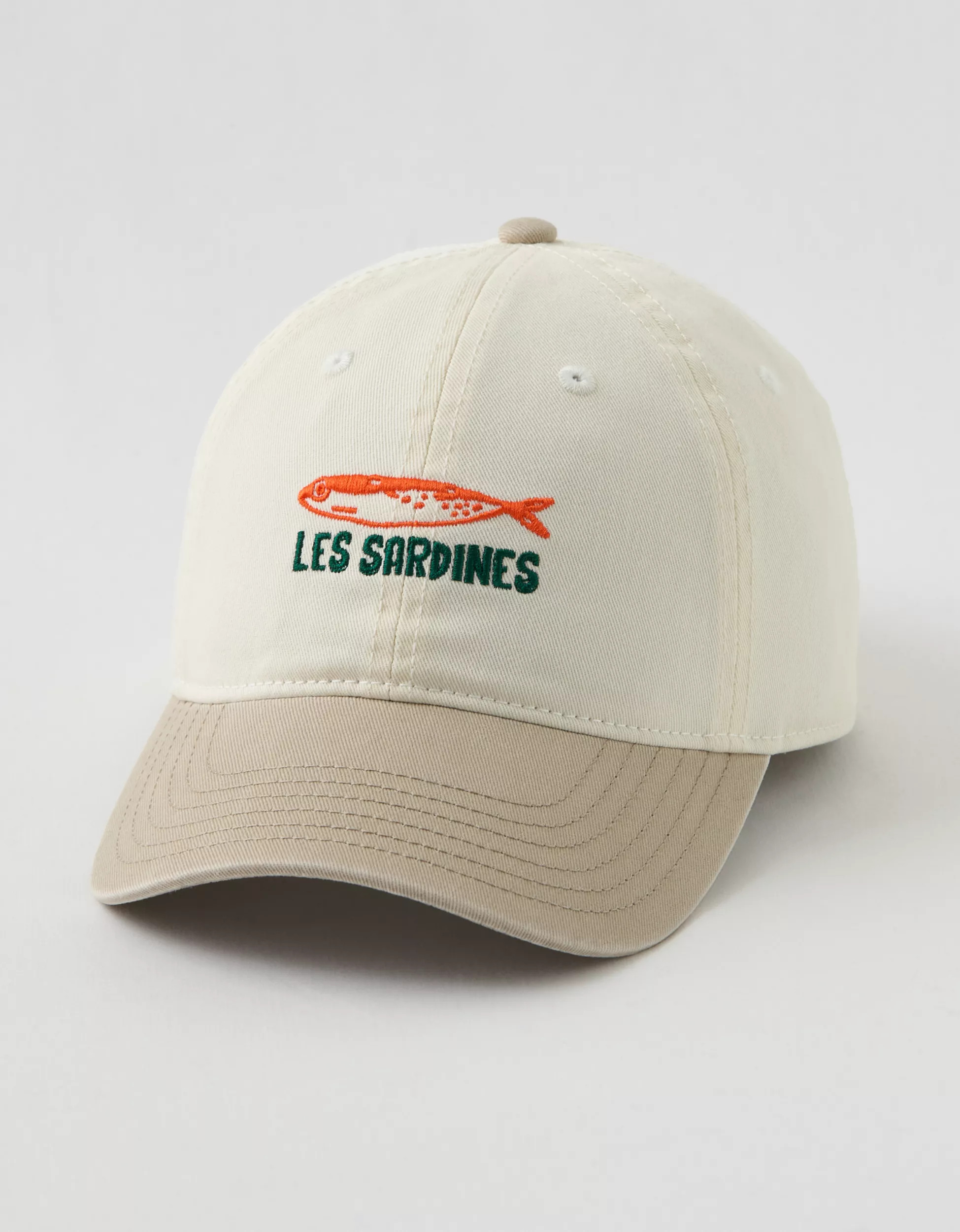 Aerie Colorblock Baseball Hat | Aerie