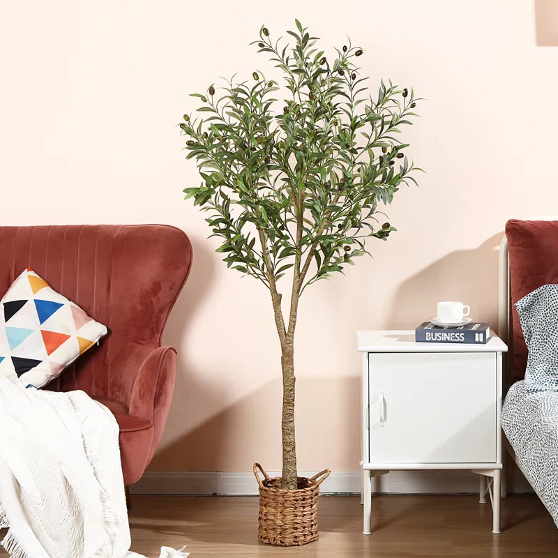 Adcock Faux Olive Tree in Rattan Basket | Wayfair North America