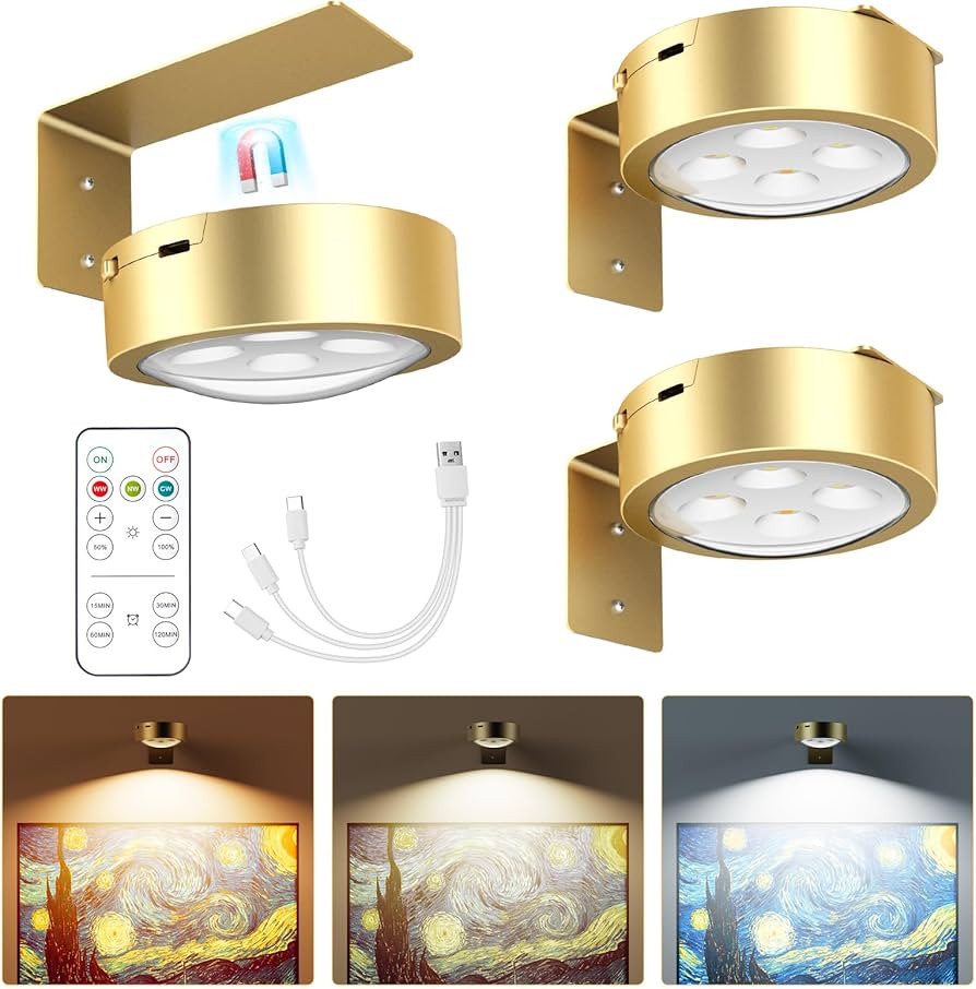 Brightown 3-Pack Picture Lights for Wall,Rechargeable Battery Operated Painting Light Magnetic Ar... | Amazon (US)