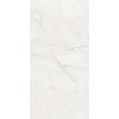 Carrara 3-D Antique Marble Look 24X48 Porcelain Tile | Wayfair North America