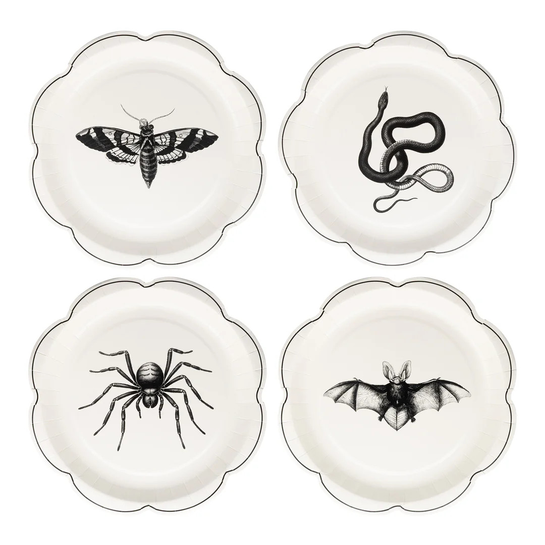 Apothecary Paper Plate Set | My Mind's Eye