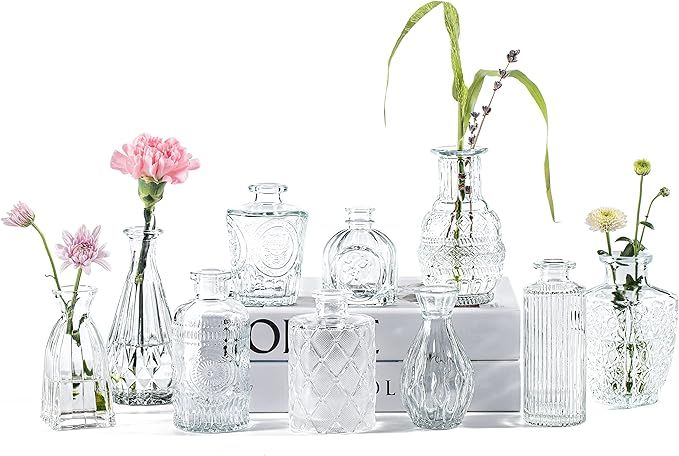 PURVONNIE Vintage Small Glass Vases Set of 10,Mini Bud Vases for Flowers,Amber Glass Vases for Ce... | Amazon (US)
