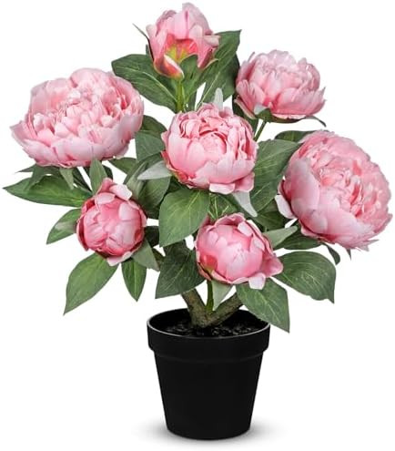 Hollyone Pink Fake Peonies Artificial Flowers in Pot 16.9" Small Peonies Tree Indoor Outdoor Faux... | Amazon (US)