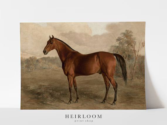 Equestrian Painting Print  Horse Canvas ART PRINTS Vintage  | Etsy Canada | Etsy (CAD)