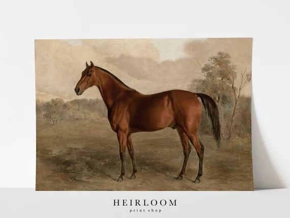 Equestrian Painting Print  Horse Canvas ART PRINTS Vintage  | Etsy Canada | Etsy (CAD)