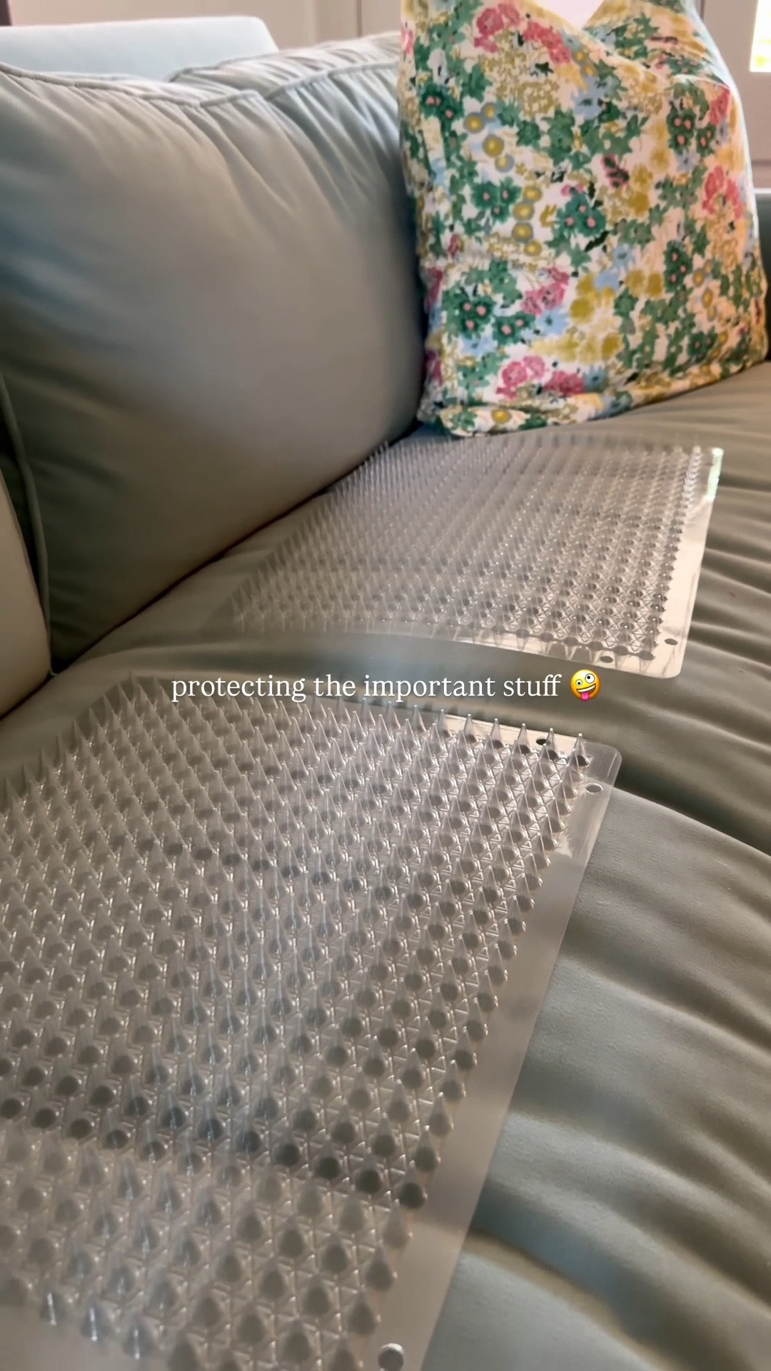 What we use to keep pets off our furniture

#LTKHome