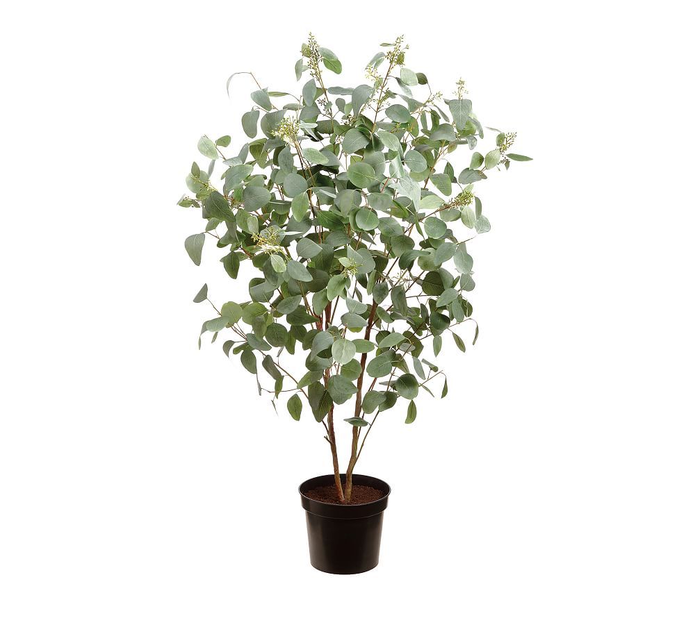 Faux Potted Eucalyptus Tree | Pottery Barn (US)