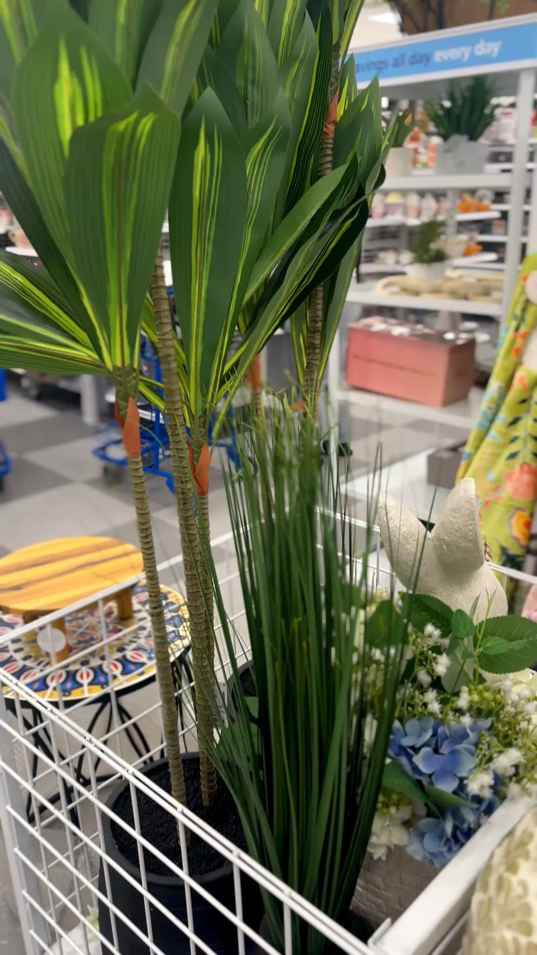 You know I love the house plants! 

#LTKHome