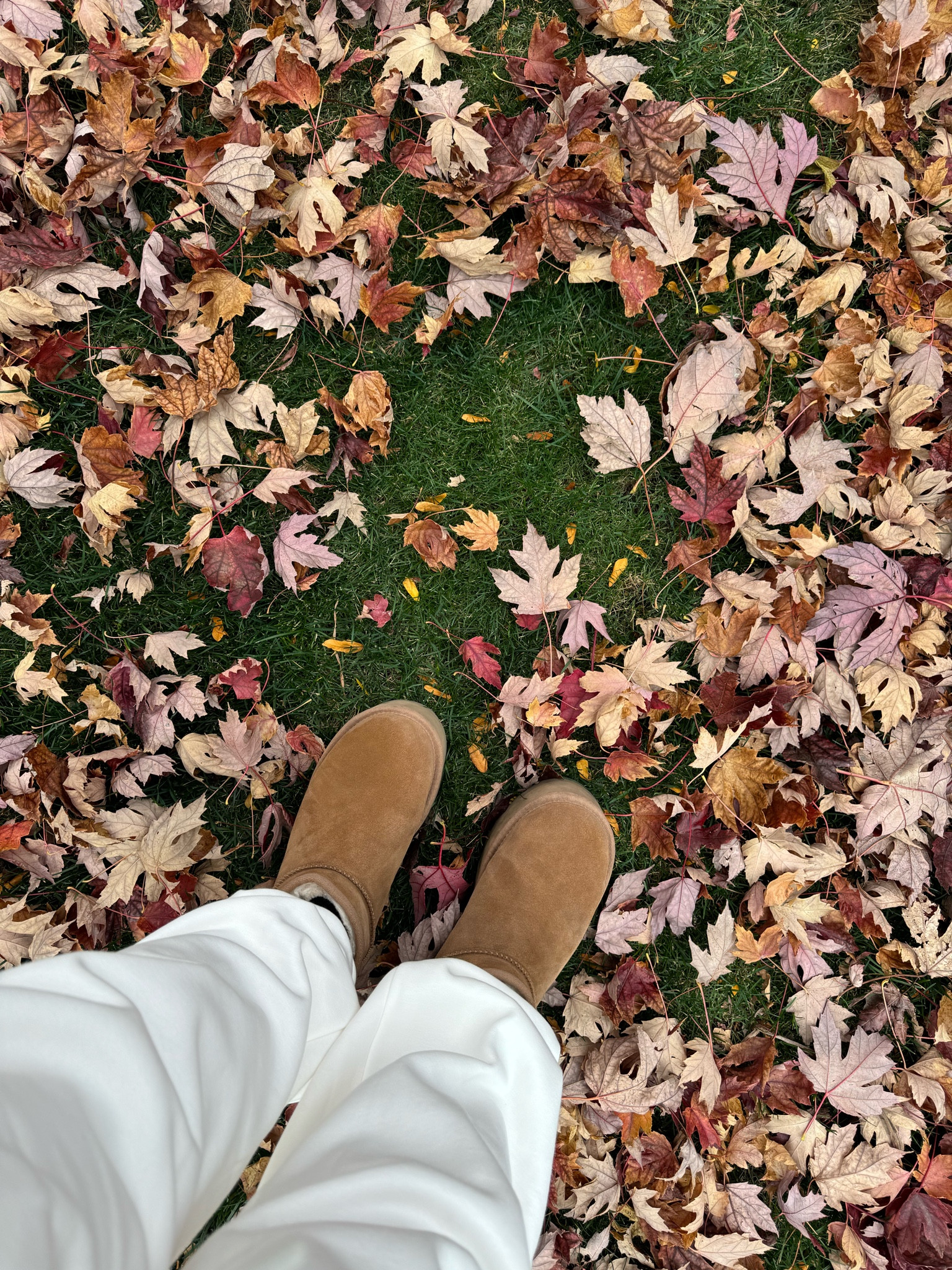 uggs size: 8 
sweat pants : 1X 
🍁🧸🤎🧦🍂

#LTKSeasonal #LTKHoliday #LTKPlusSize