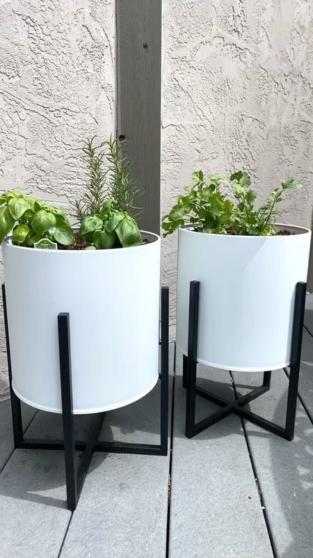 Our little herb garden   
Basil, rosemary and cilantro. 
Thought these indoor / outdoor planters were cute. And I love the stand  

#LTKSeasonal #LTKfindsunder50 #LTKhome