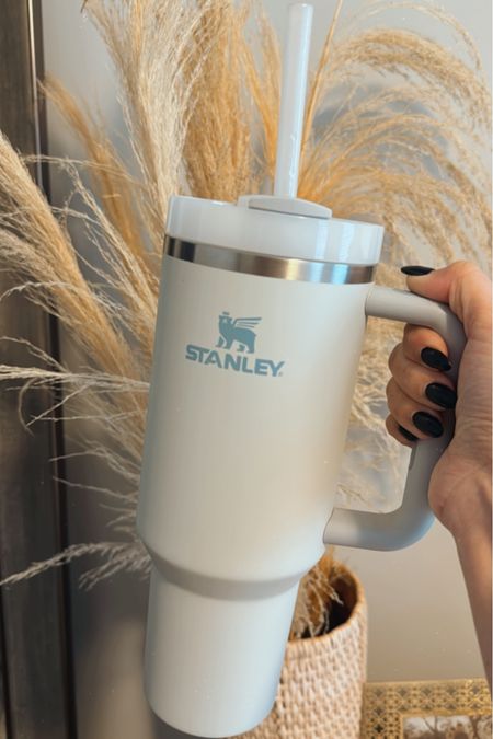 I have the 40oz Stanley and love it! Also linking a 6 pack of reusable straws for $6 🤌🏼🤍

#LTKstyletip #LTKfamily #LTKsalealert