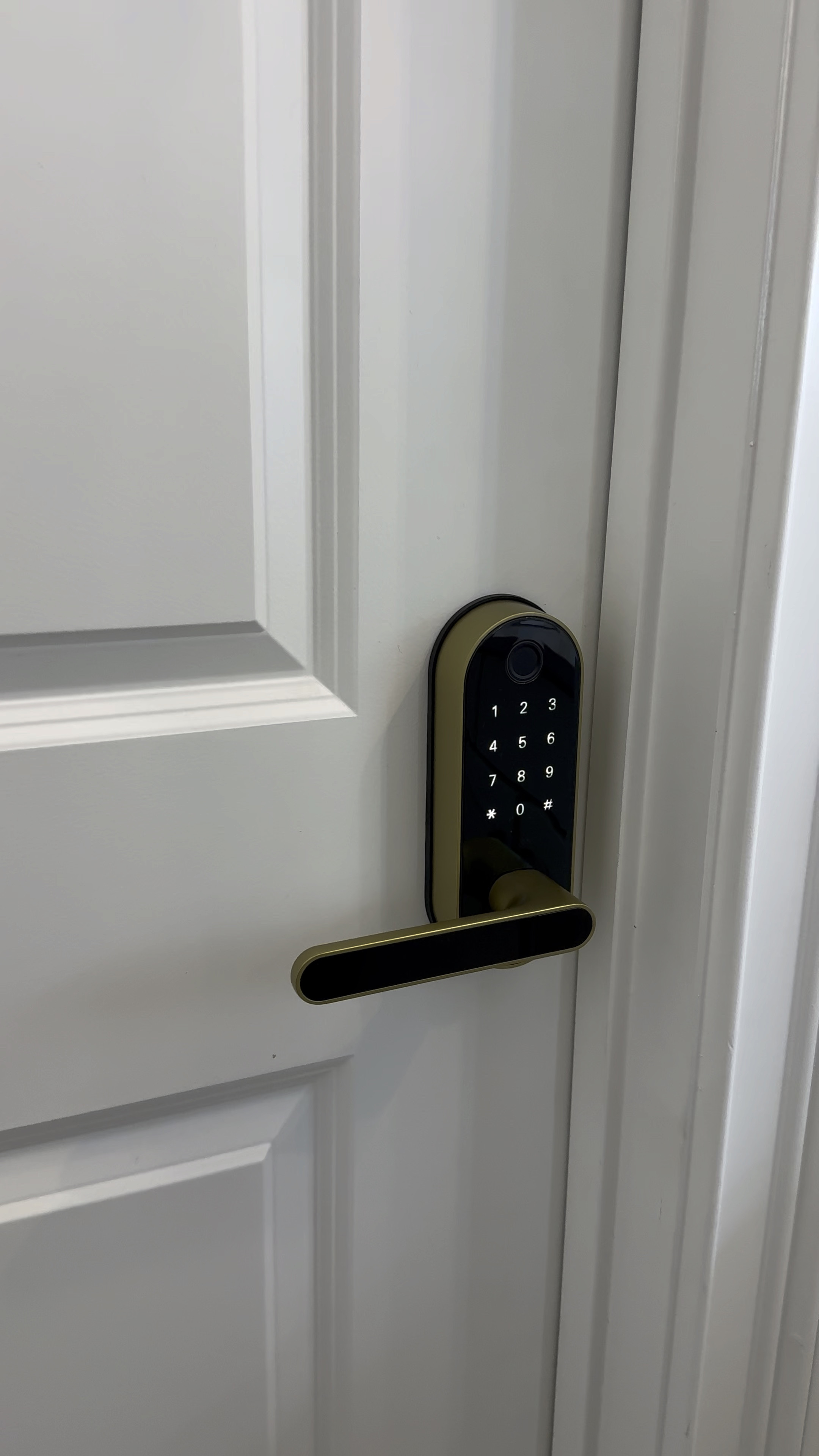 Closet tings

#LTKxPrimeDay