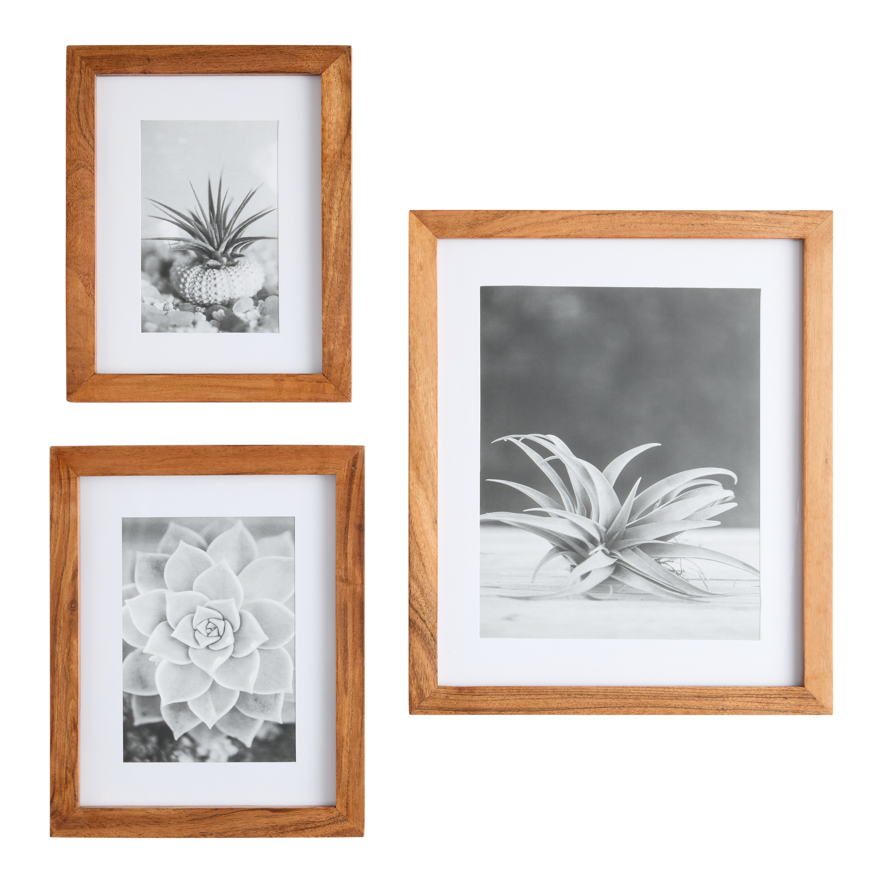 Natural Acacia Wood Wall Picture Frame | World Market