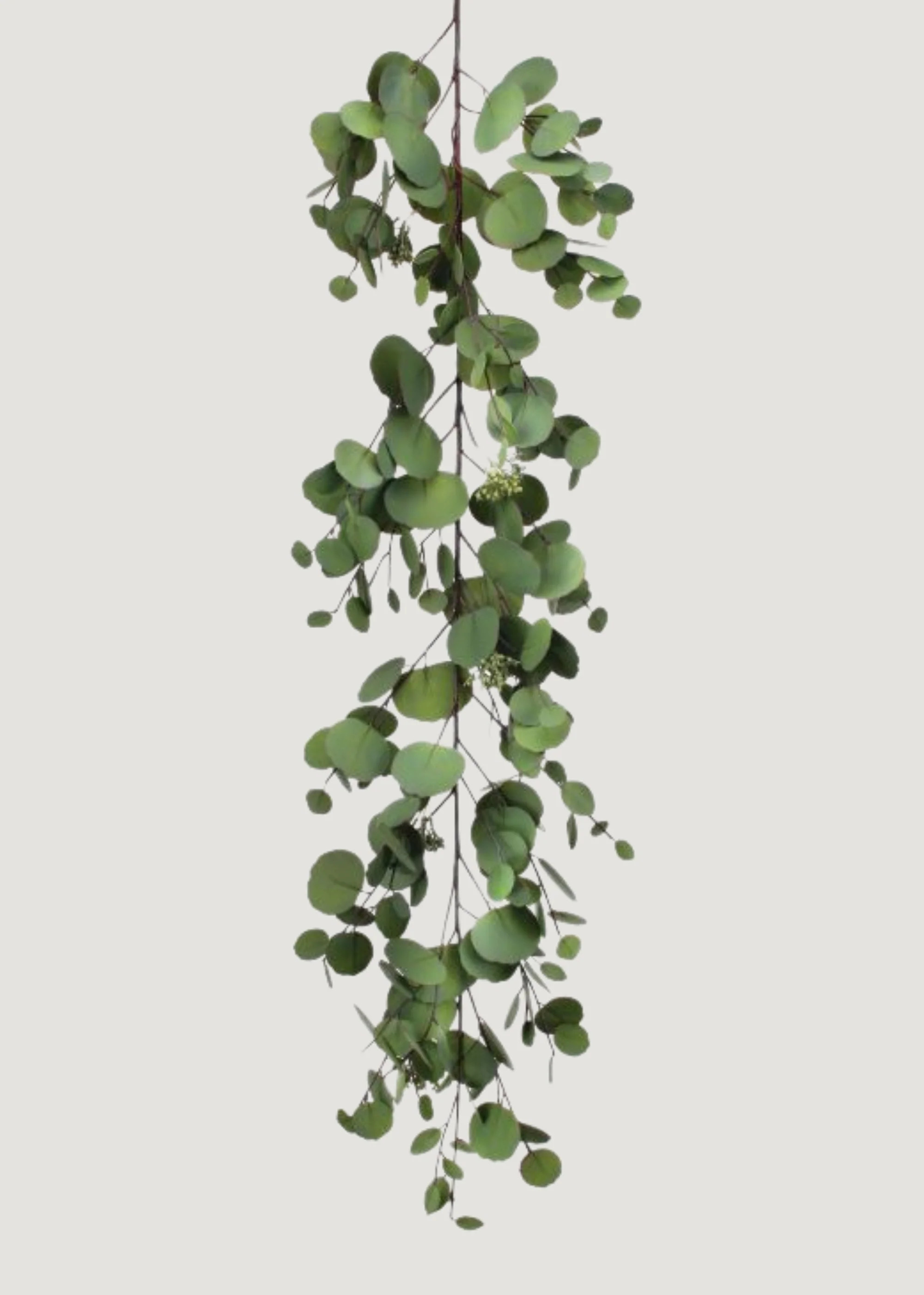 Natural Touch Fake Silver Dollar Eucalyptus Garland - 48 | Afloral