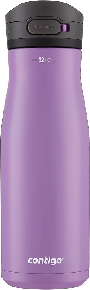 Contigo Jackson Chill 2.0 Vacuum-Insulated Stainless Steel Water Bottle, Secure Lid Technology fo... | Amazon (US)
