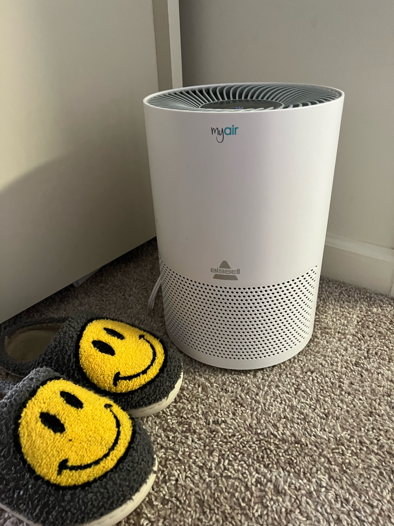 this bissell sue purifier rocks and has timer settings! 

#wayfairanniversarysale #wayfair #cleanair #bissell  

#LTKhome #LTKunder100
