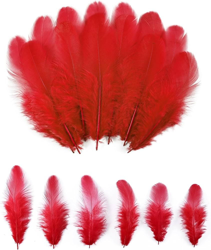 Colorful Craft Rooster Feathers 900pcs 3-5inch Colored Bulk Feathers Natural Feathers for Craftin... | Amazon (US)