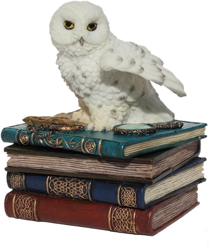 US 4.75 Inch Snow Owl Flap Wings on Books Trinket Box, White Color | Amazon (US)