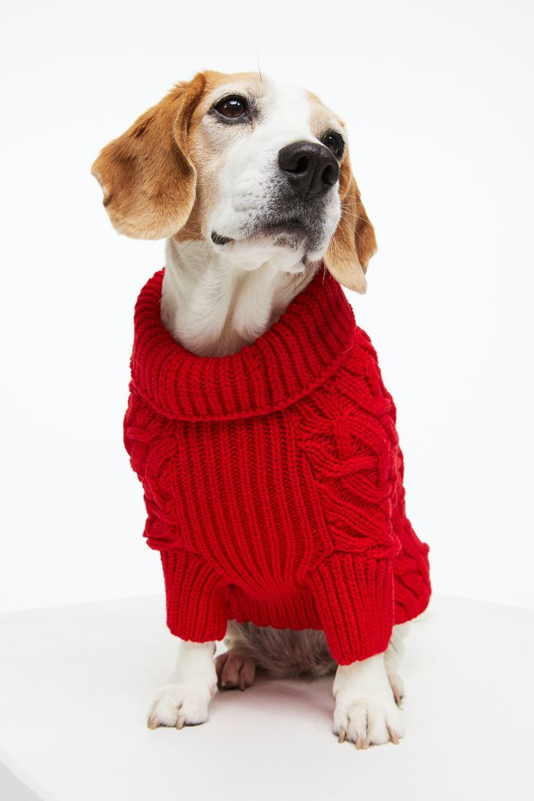 Cable-knit Dog Sweater | H&M (US)