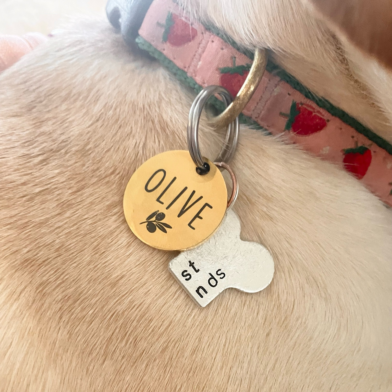 Custom dog tag & BEST FRIENDS bone dog tags! The best friends bone tags can be for two dogs or for your keychain + your pup!

Etsy finds, dog accessories, handmade find, etsy sale, dog mom 

#LTKhome #LTKFind