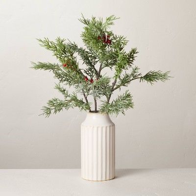 14.5&#34; Faux Cedar &#38; Berry Stems Ceramic Arrangement - Hearth &#38; Hand&#8482; with Magnol... | Target