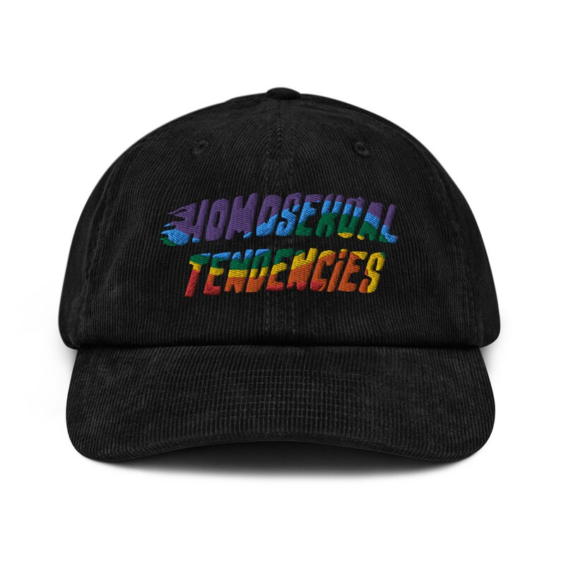 Homosexual Tendencies Embroidered Cap, Funny Gay Hat, Queer Pride Flag Embroidery, Retro Rainbow ... | Etsy (US)