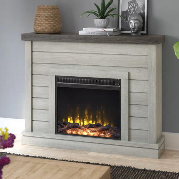 Alaya 47.38'' W Electric Fireplace | Wayfair North America