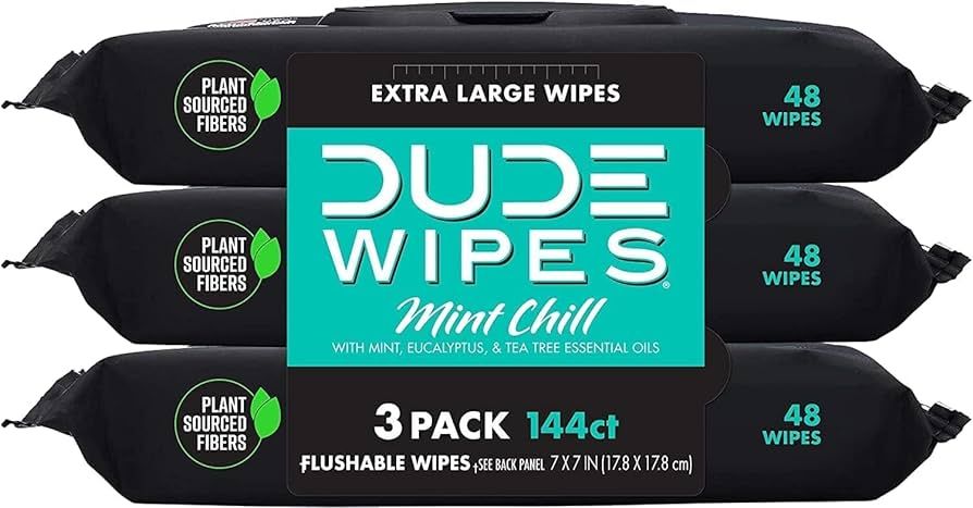 DUDE Wipes - Flushable Wipes - 3 Pack, 144 Wipes - Mint Chill Extra-Large Adult Wet Wipes - Vitam... | Amazon (US)