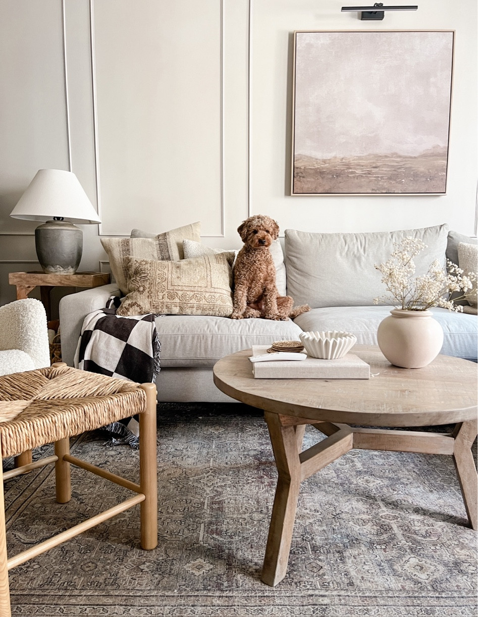 Loving how cozy and collected my living room decor is becoming! 

#LTKhome #LTKFind