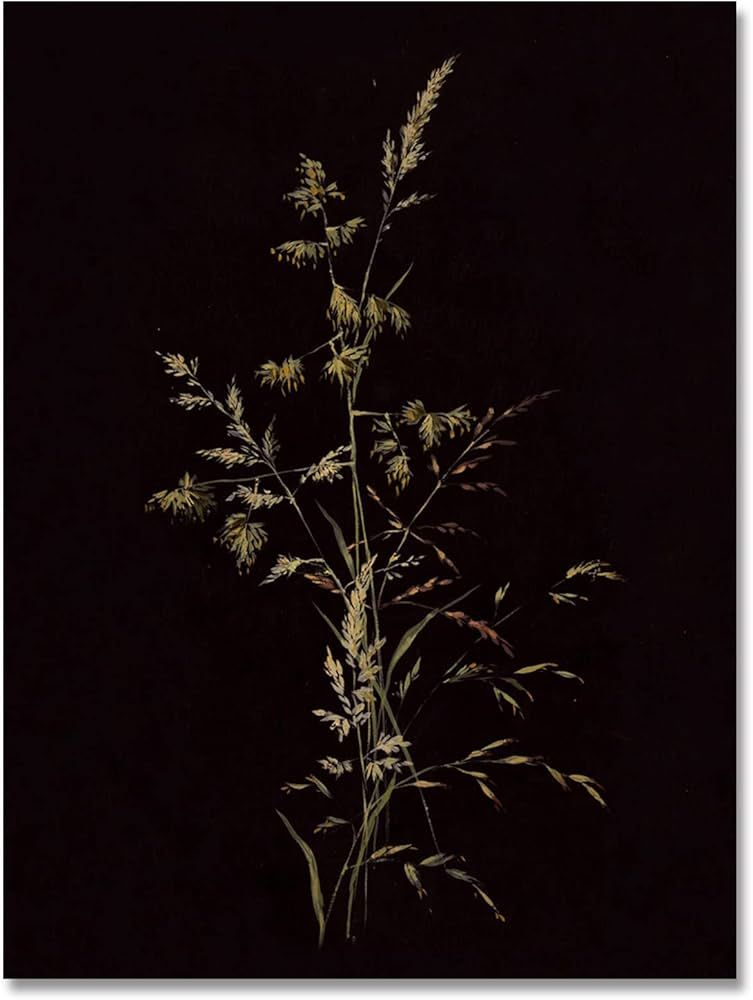 uoyien Moody Decor Vintage Botanical Flower Wall Art Victorian Dark Academia Decor Rustic Antique... | Amazon (US)