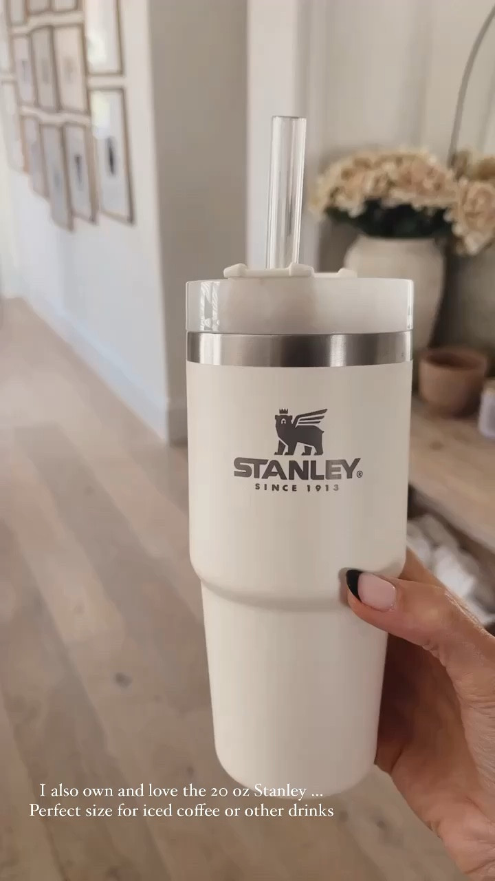 20oz Stanley is the perfect size for everyday drinks, iced coffee and it’s not too heavy to carry around. 
StylinByAylin 

#LTKSeasonal #LTKunder50
