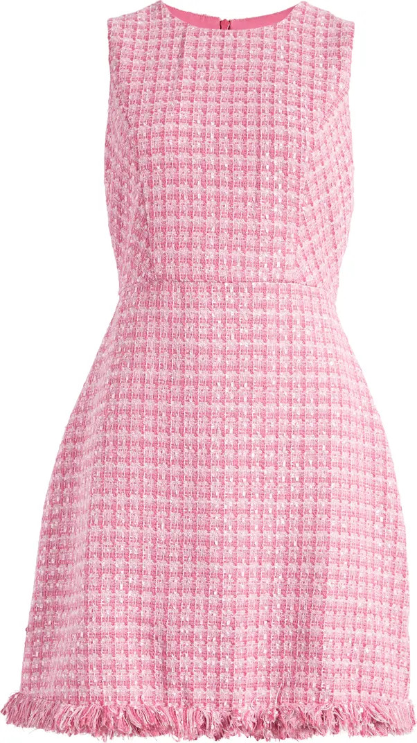 Eliza J Fringe Detail Sleeveless Tweed A-Line Dress | Nordstrom | Nordstrom