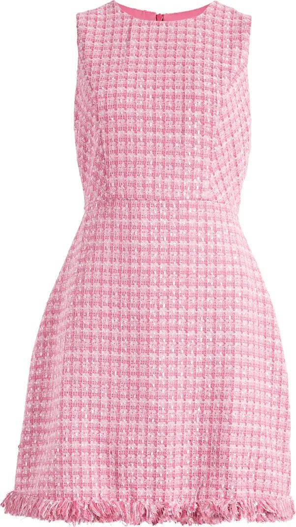 Eliza J Fringe Detail Sleeveless Tweed A-Line Dress | Nordstrom | Nordstrom
