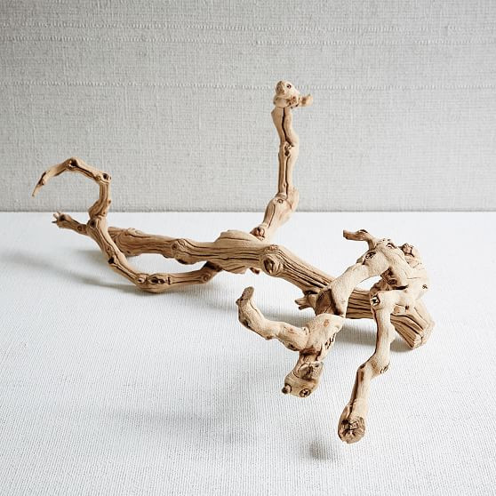 Grapewood Botanical | West Elm (US)