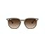 Ray-Ban Unisex Rb4306 Hexagonal Sunglasses | Amazon (US)