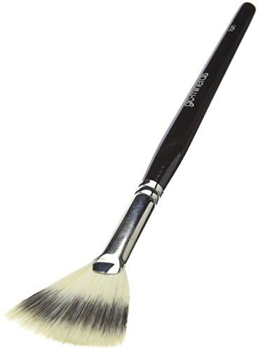 glo minerals Tools Fan Brush | Amazon (US)