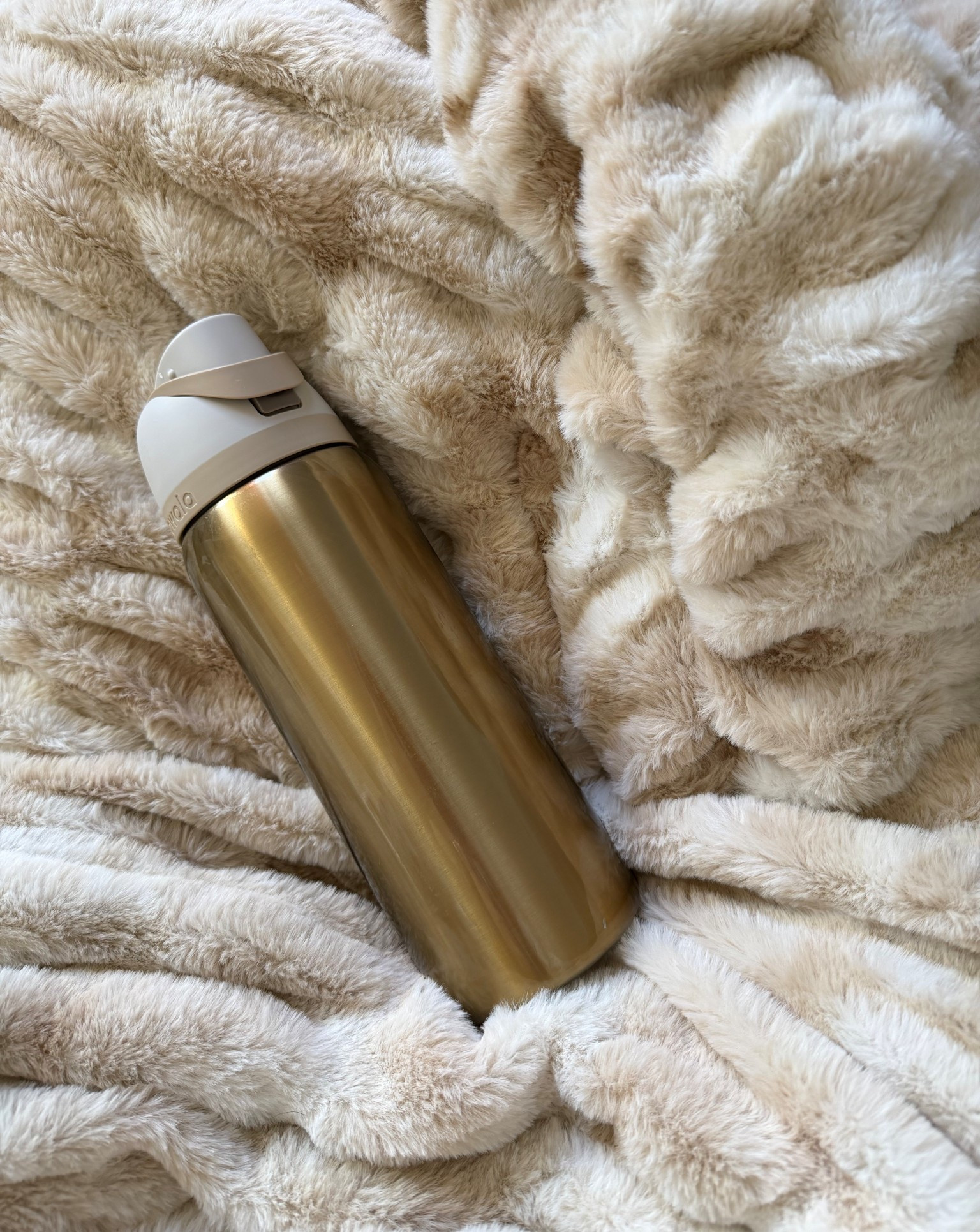 new holiday edition owalas 😋

#LTKSeasonal #LTKselfcare #LTKHoliday