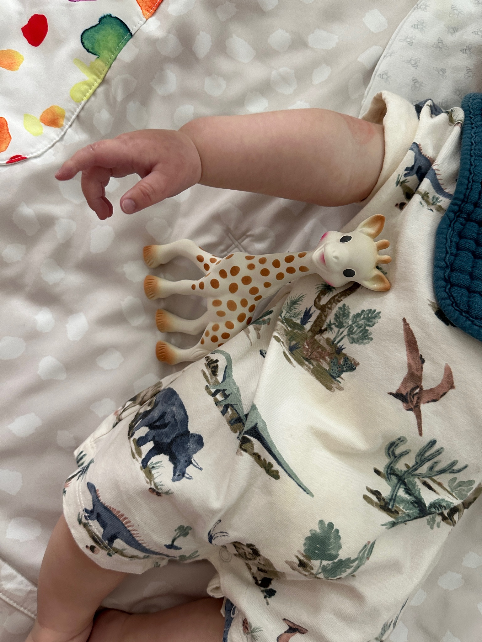 baby E at 6 months 

#babytoy #teethingtoy #babyootd #babyboy