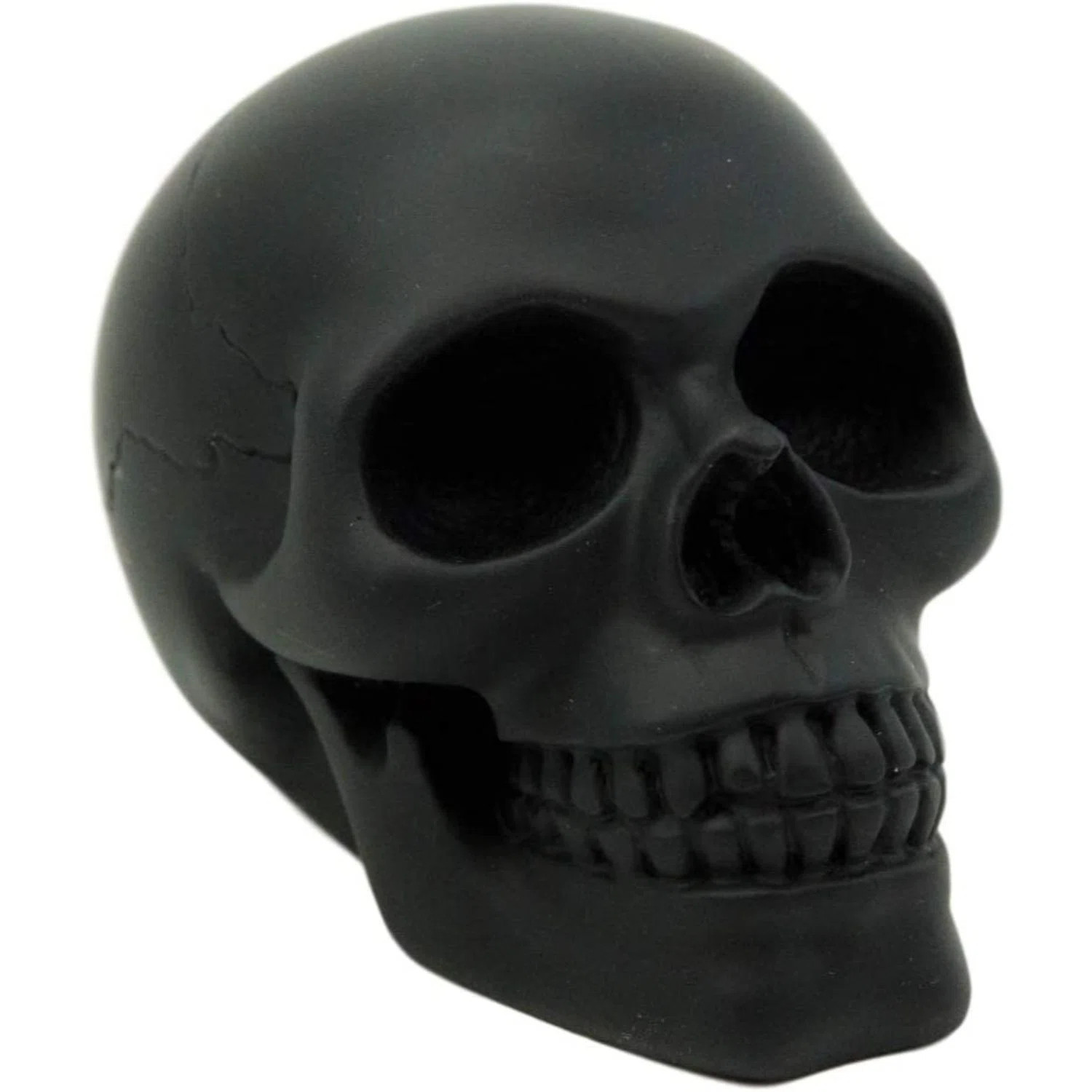 Etheline Pirate's Loot Graveyard Human Skull Figurine | Wayfair North America