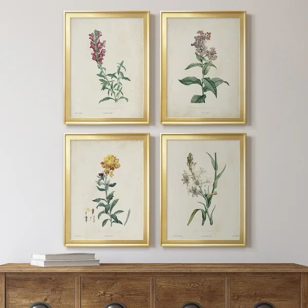 Traditional Botanical I - 4 Piece Picture Frame Painting Set on Canvas | Wayfair North America