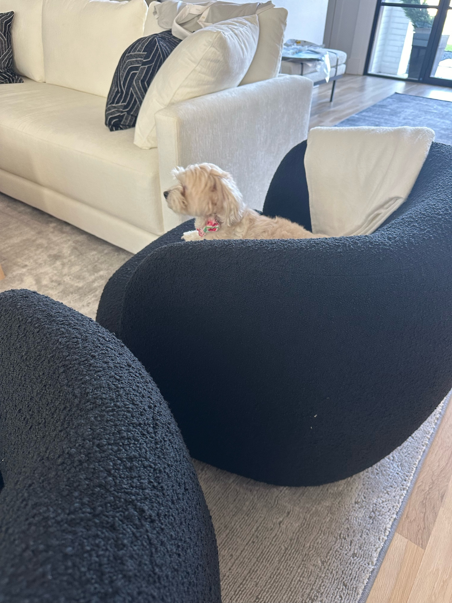 Black boucle chairs home decor 

#LTKStyleTip #LTKHome